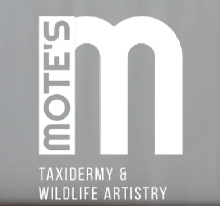 Business logo for Mote's Taxidermy and Wildlife Artistry