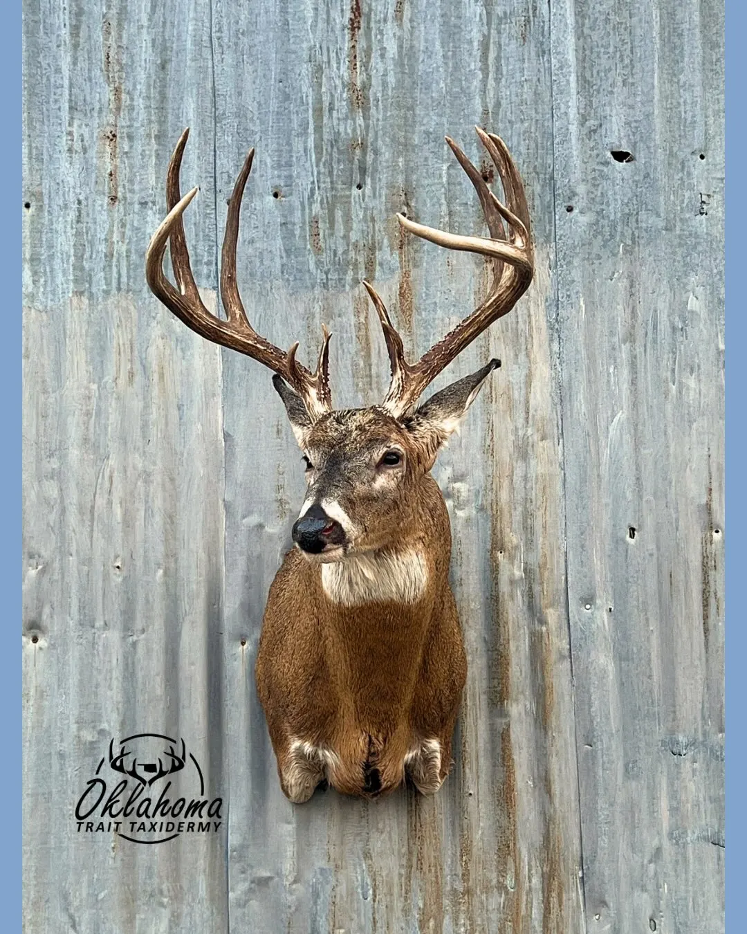 Business profile photo for Oklahoma Trait Taxidermy