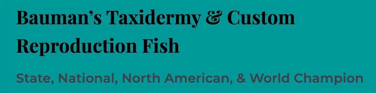 Business logo for Bauman's Taxidermy