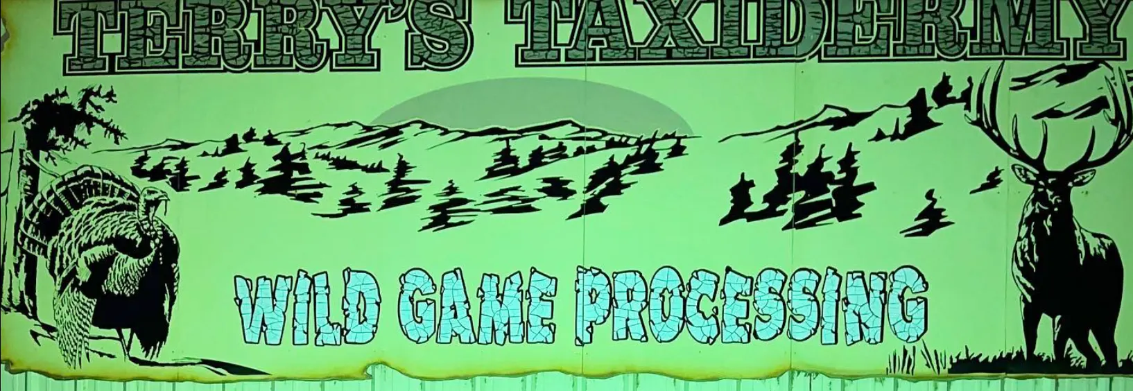 Business logo for Terry's Taxidermy & Wild Game Processing