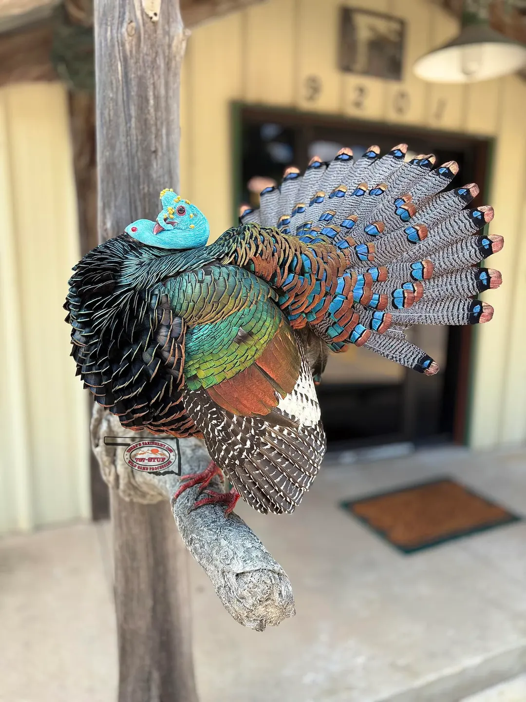 Business profile photo for Terry's Taxidermy & Wild Game Processing