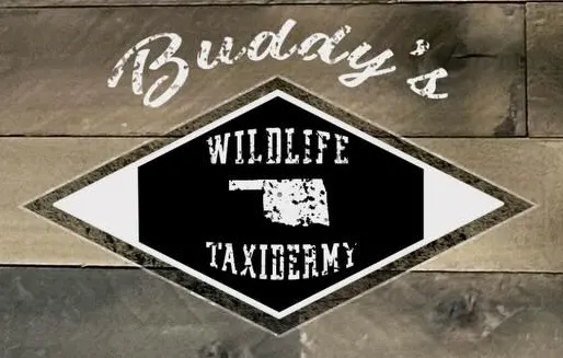 Business logo for Buddy's Wildlife Taxidermy